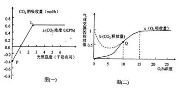 在一定實(shí)驗(yàn)條件下.測得某綠色植物的光合作用和細(xì)胞呼吸分別如圖所示.用32p標(biāo)記的礦質(zhì)營養(yǎng)液培養(yǎng)某植物幼苗一段時(shí)間后.在根細(xì)胞中檢測和推斷32p的累積量.吸收量和運(yùn)輸量如圖