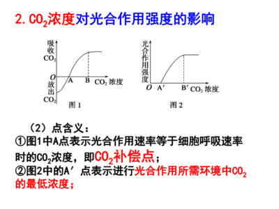 影響光合作用強(qiáng)度的環(huán)境因素課件.ppt