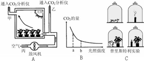 我們可以利用如圖a所示裝置來比較植物光合作用強(qiáng)度和呼吸作用強(qiáng)度.已知其他條件適宜,請(qǐng)分析回答 1