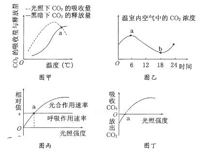 某校生物興趣小組以玉米為實(shí)驗(yàn)材料,研究不同條件下光合作用速率和呼吸作用速率,繪制了如甲 乙 丙 丁所示的四幅圖 除哪幅圖外,其余三幅圖中 a 點(diǎn)都可表示光合作用速率與呼吸作用速率相等