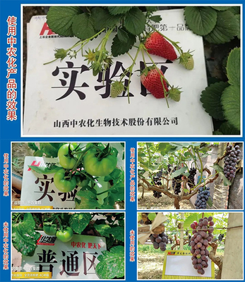 【產品推薦】改良土壤、預防病害,就選硅鈣鎂中微肥系列